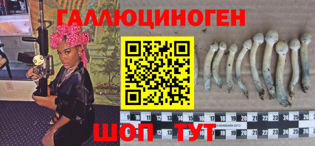 Галлюциногенные грибы ЛСД  Псилоцибиновые грибы ЛСД  Вход с VPN  даркнет сайт  Асино 