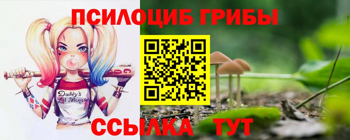 Псилоцибиновые грибы мицелий Асино